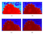 Image Matting for Sparse User Input by Iterative Refinement