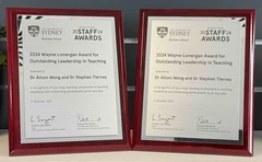 Wayne Lonergan Award for Outstanding Leadership in Teaching