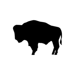 wyoming-whisper-intel