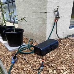 Automated Cat Deterrent with Frigate, ESPHome, and Home Assistant